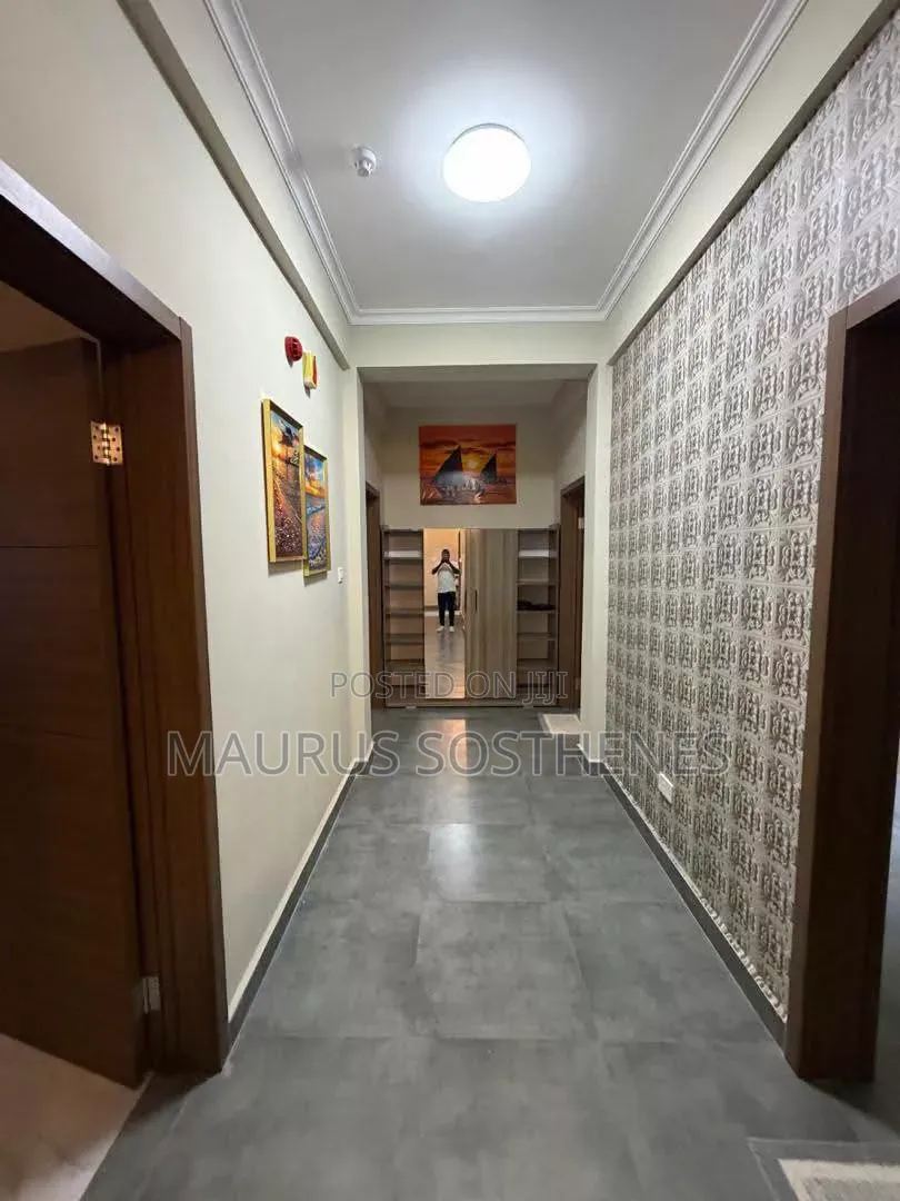 Furnished 3bdrm Apartment in Masaki for rent