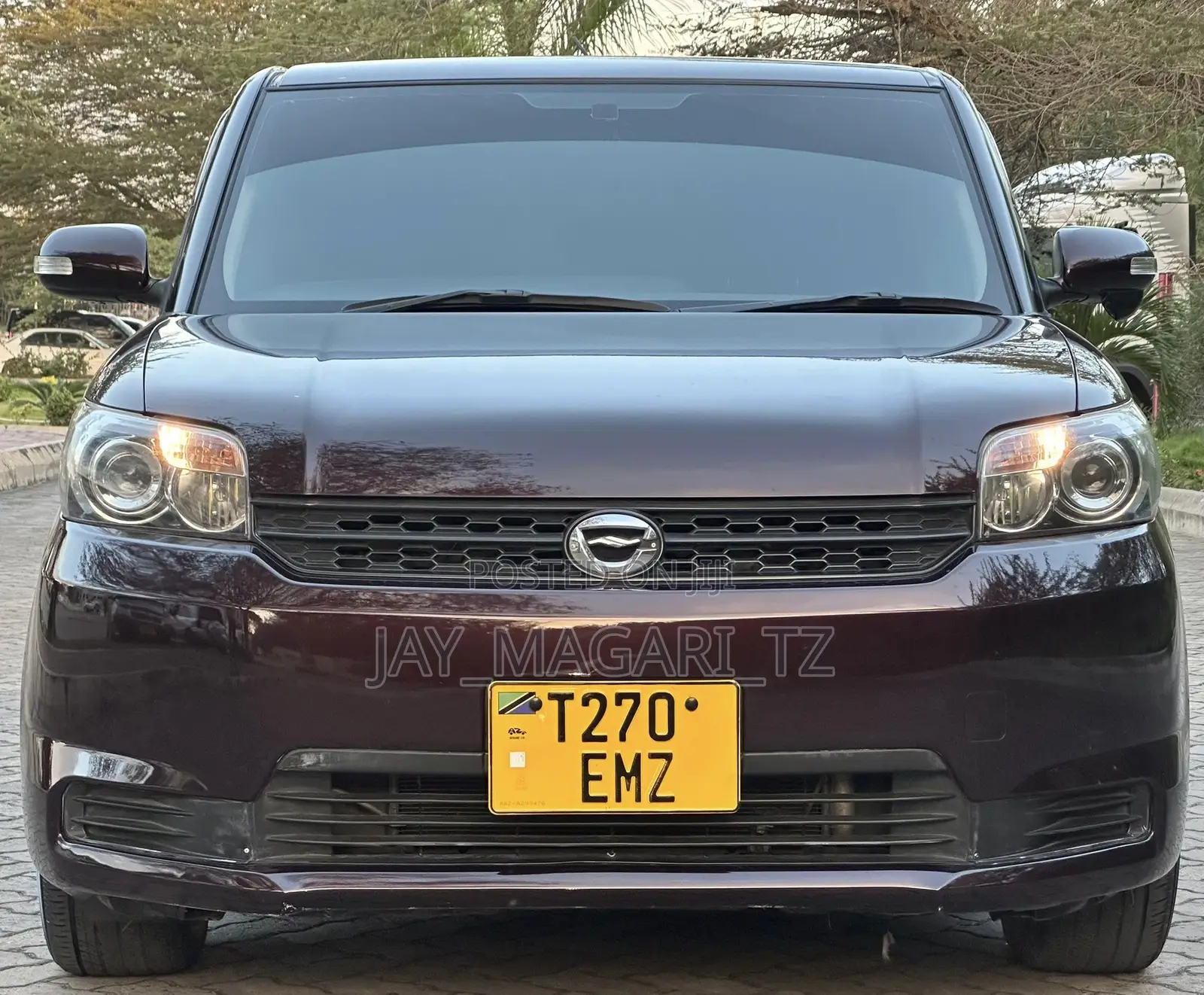 Toyota Corolla Rumion 2010 Brown