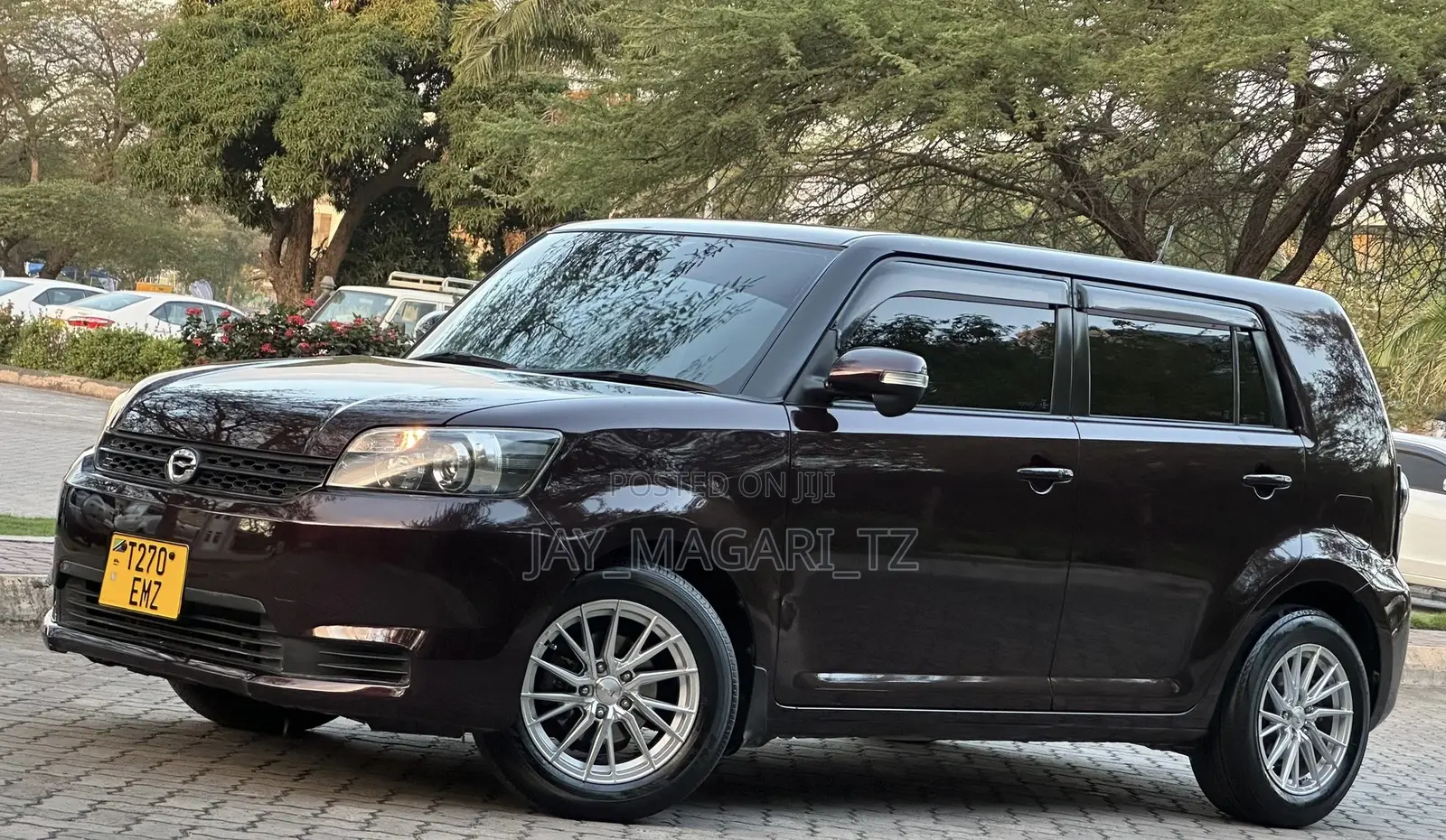 Toyota Corolla Rumion 2010 Brown