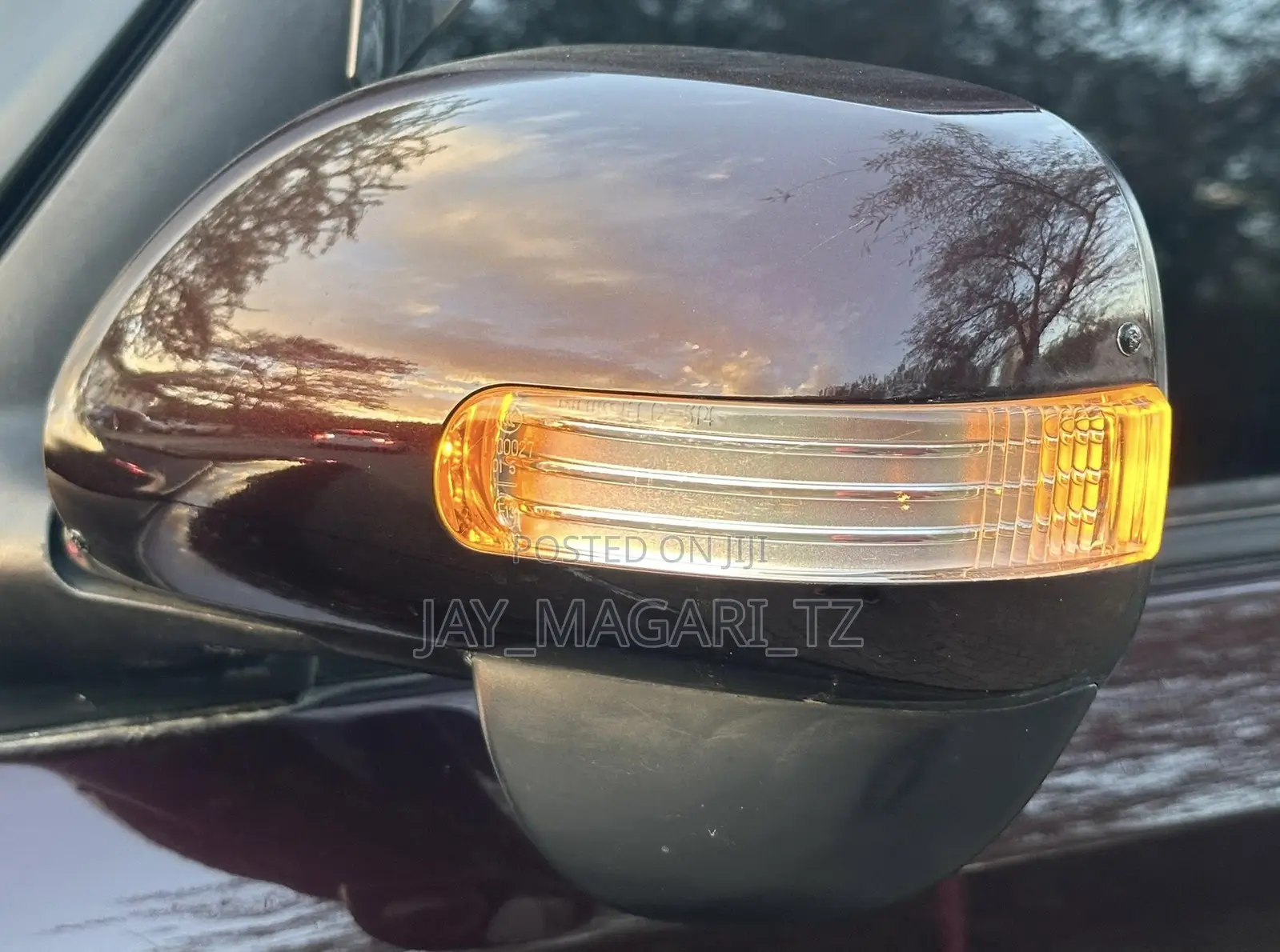 Toyota Corolla Rumion 2010 Brown