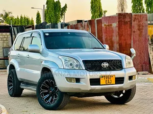 Toyota Land Cruiser 2007 Silver