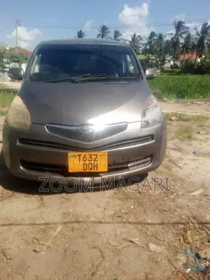 Toyota Ractis 2006 Gray