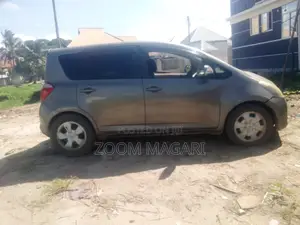 Toyota Ractis 2006 Gray