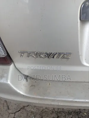 Mazda Tribute 3.0 DX 2001 Silver
