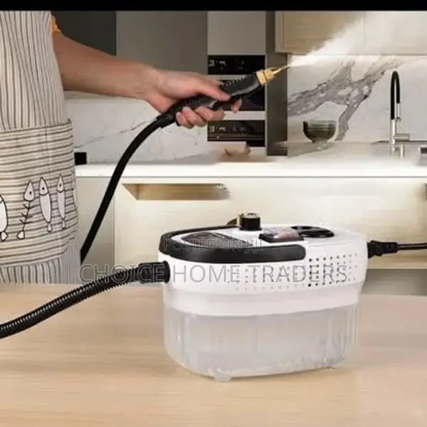 Portable Steam Cleaner