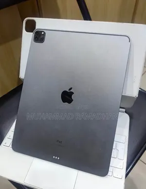Apple iPad Pro 11 (2022) 512 GB Silver