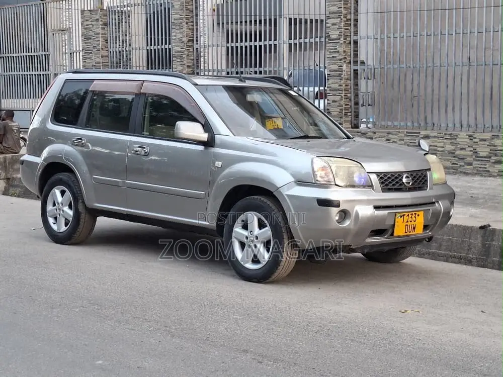 Nissan X-Trail 2005 Silver