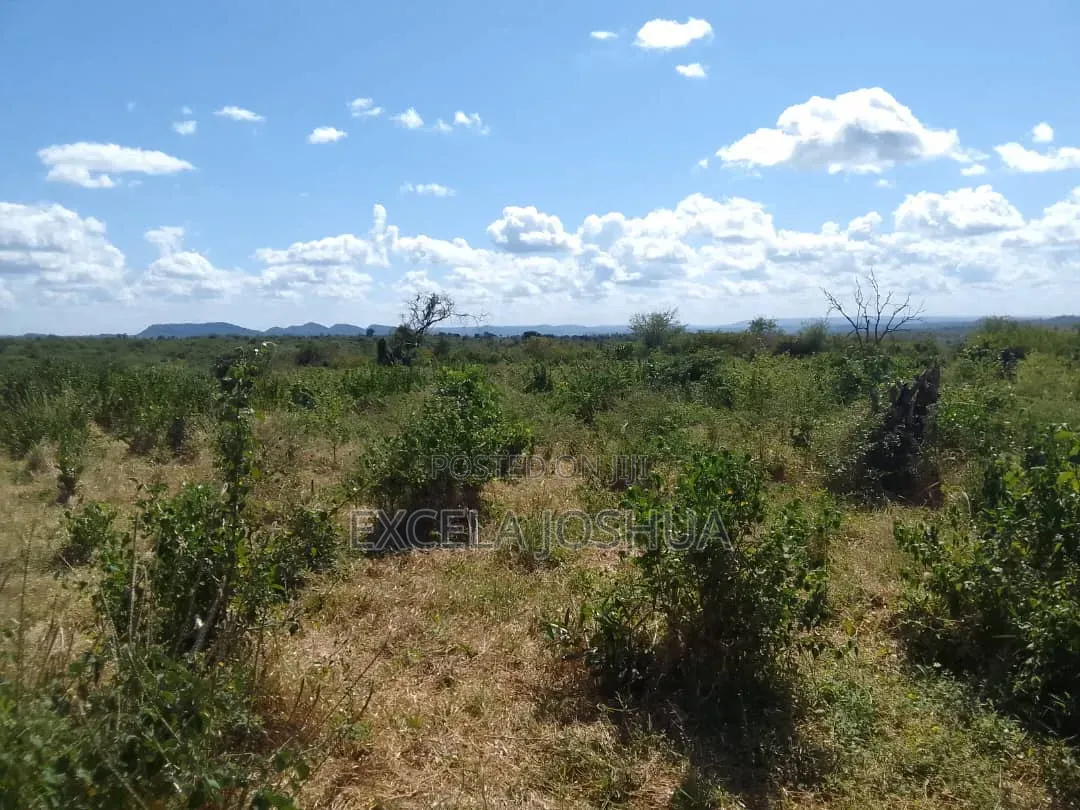 Shamba Eka 200 Linauzwa Mkata Handeni Tanga