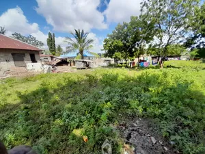Beach Plot No 3 Inauzwa Kigamboni Kwa Mwingira
