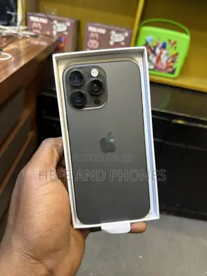 Apple iPhone 16 Pro Max 256 GB Gray