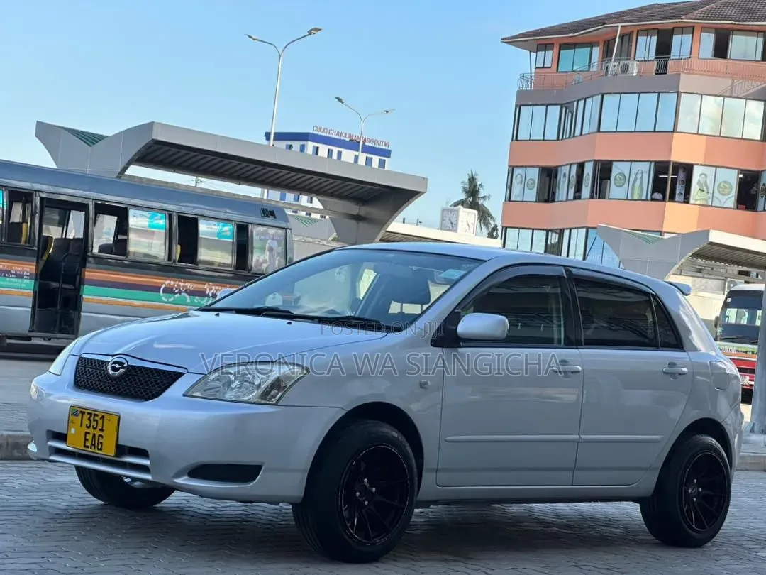 Toyota Corolla RunX 2003 Silver