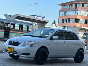 Toyota Corolla RunX 2003 Silver