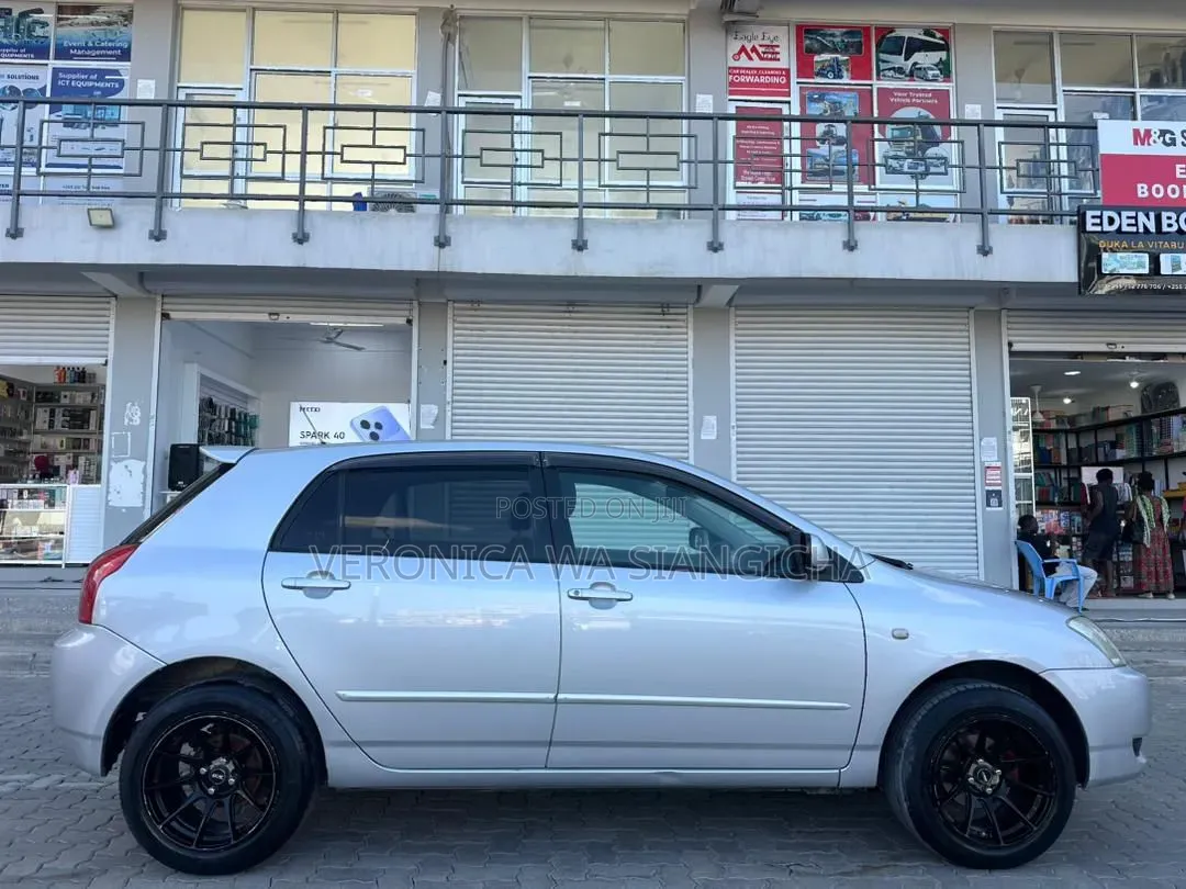 Toyota Corolla RunX 2003 Silver