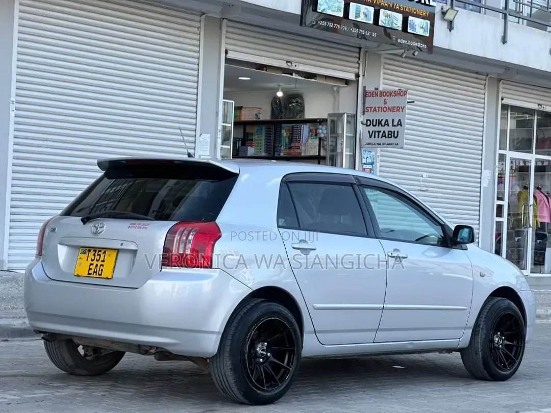 Toyota Corolla RunX 2003 Silver