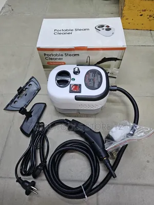 Portable Steam Clean 2500