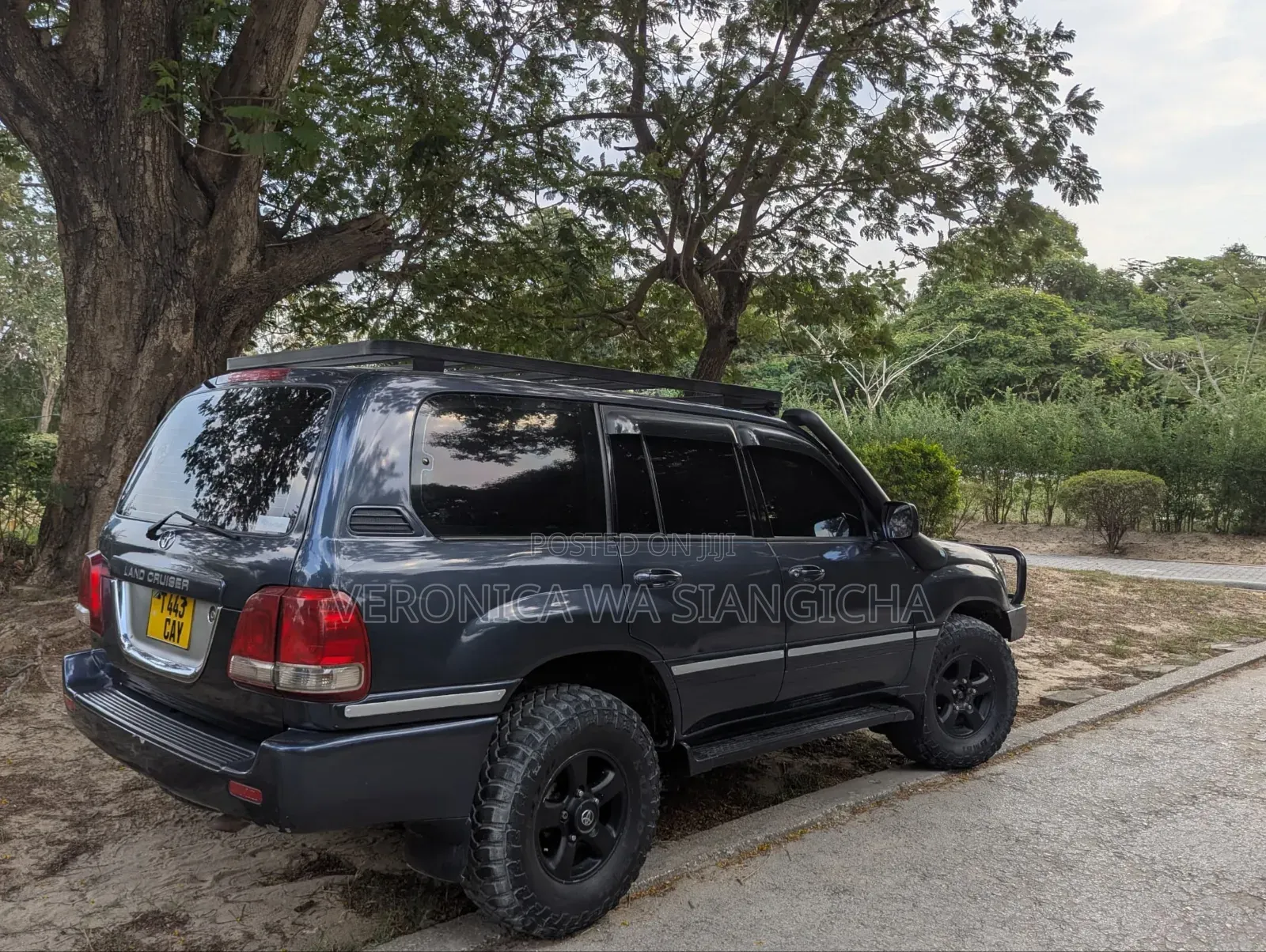 Toyota Land Cruiser 2004