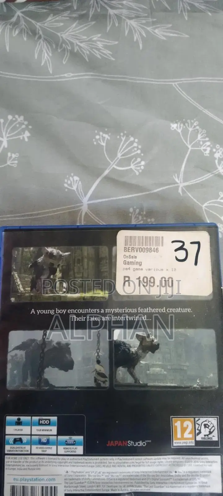 The Last Guardian