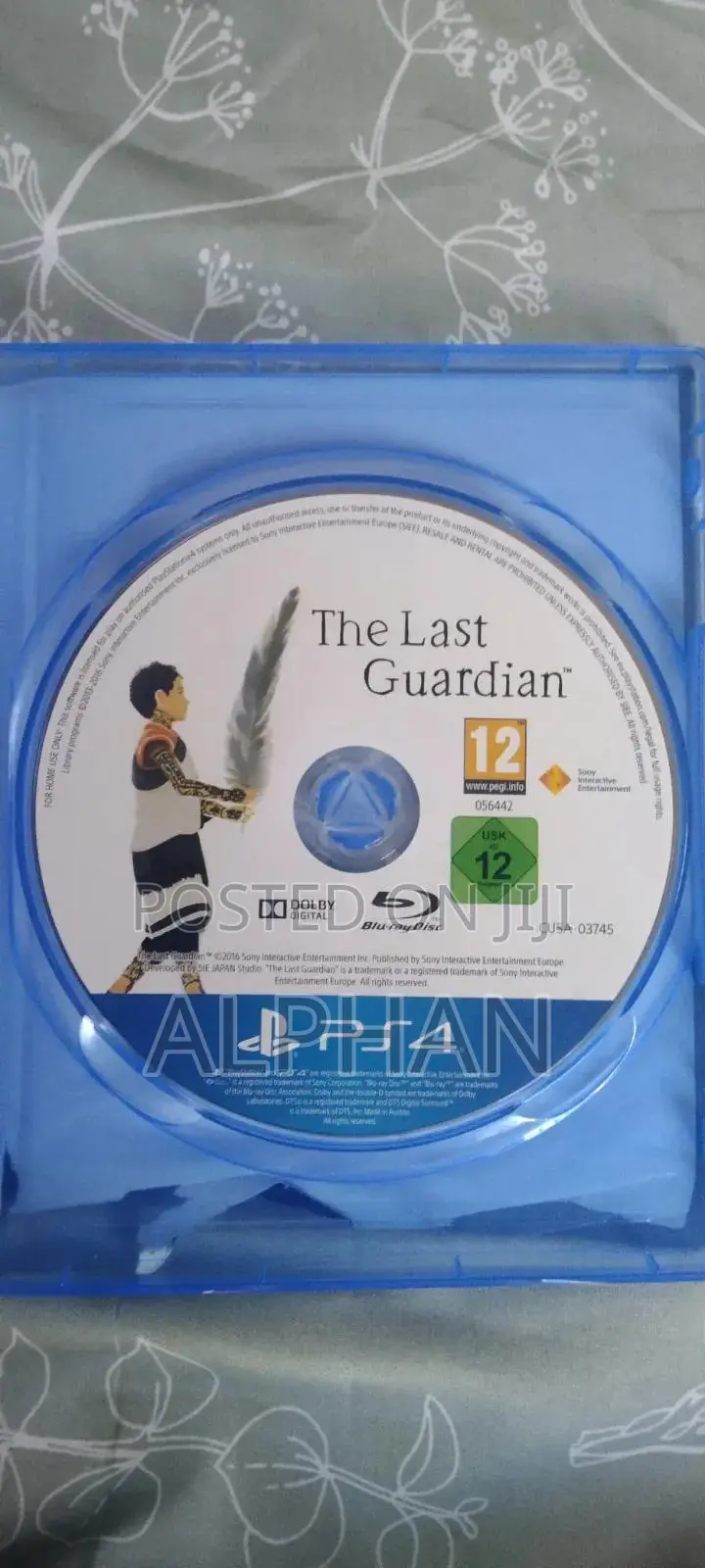 The Last Guardian