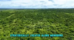140 Acres Industrial Land for Sale at Chalinze