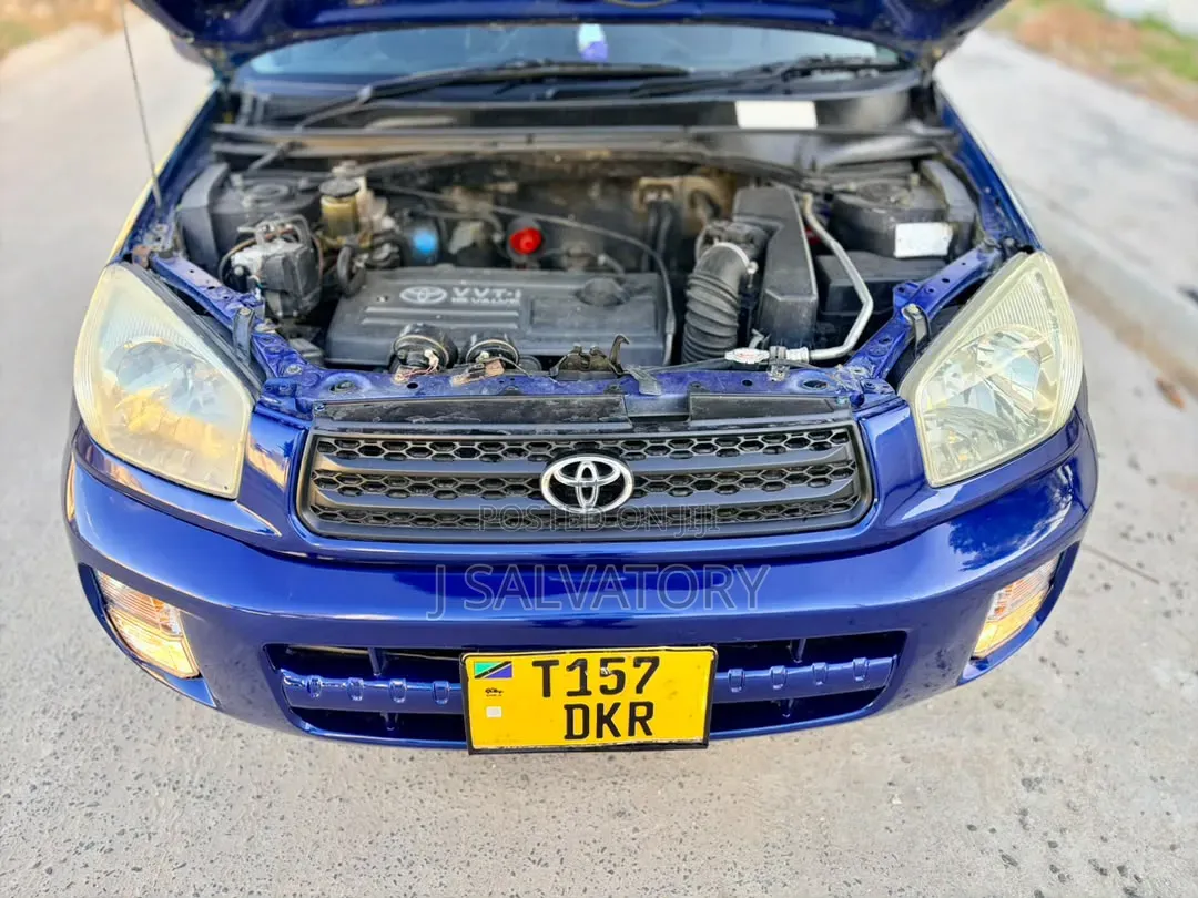 Toyota RAV4 2005 Blue