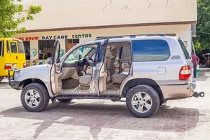 Toyota Land Cruiser 2004 Silver