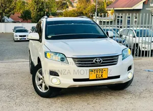 Toyota Vanguard 2010 Pearl