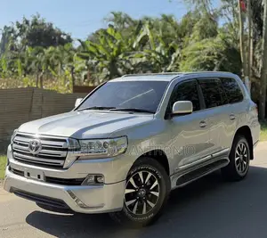 Toyota Land Cruiser 2010 Silver