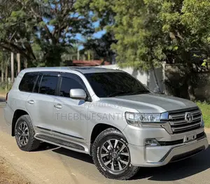 Toyota Land Cruiser 2010 Silver
