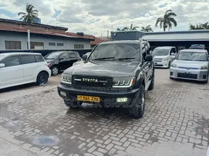 Toyota Land Cruiser 2002 Gray