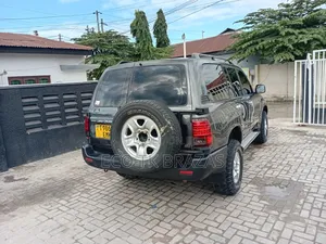 Toyota Land Cruiser 2002 Gray