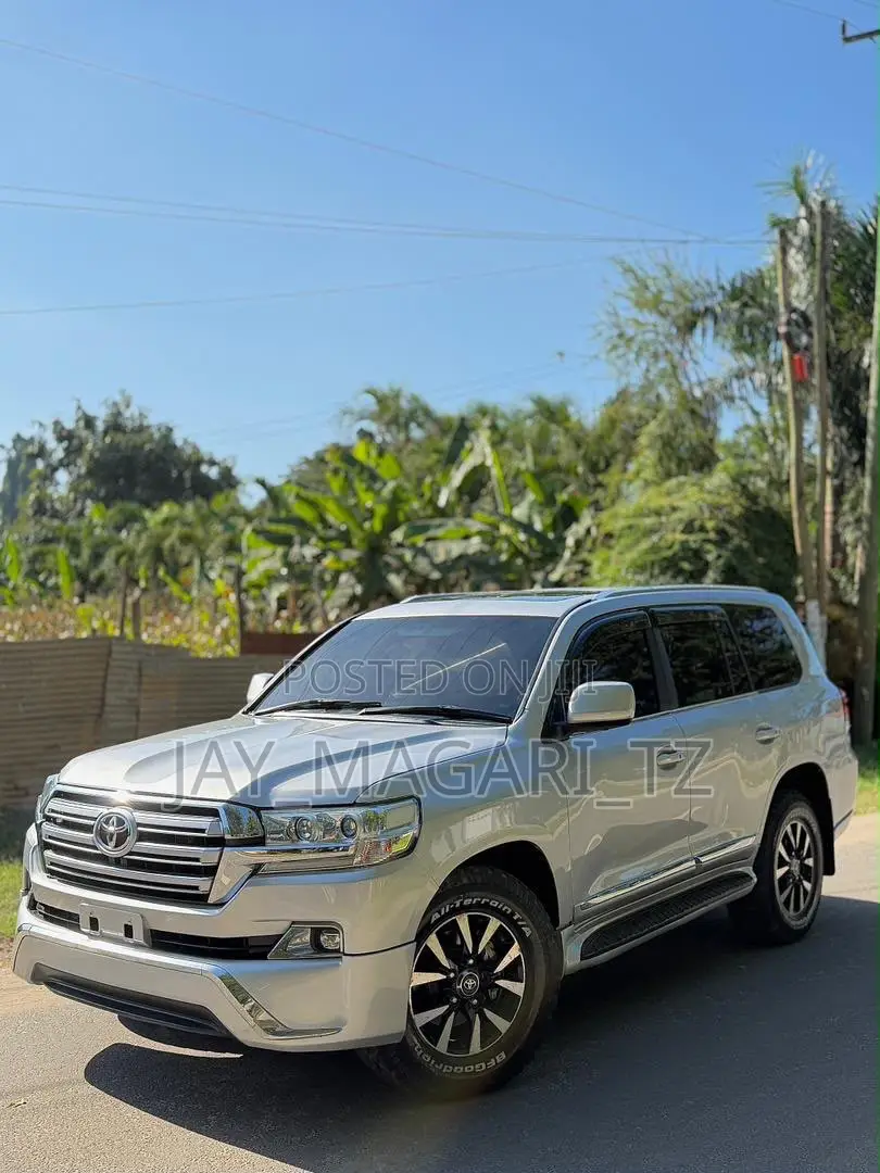 Toyota Land Cruiser 2010 Silver