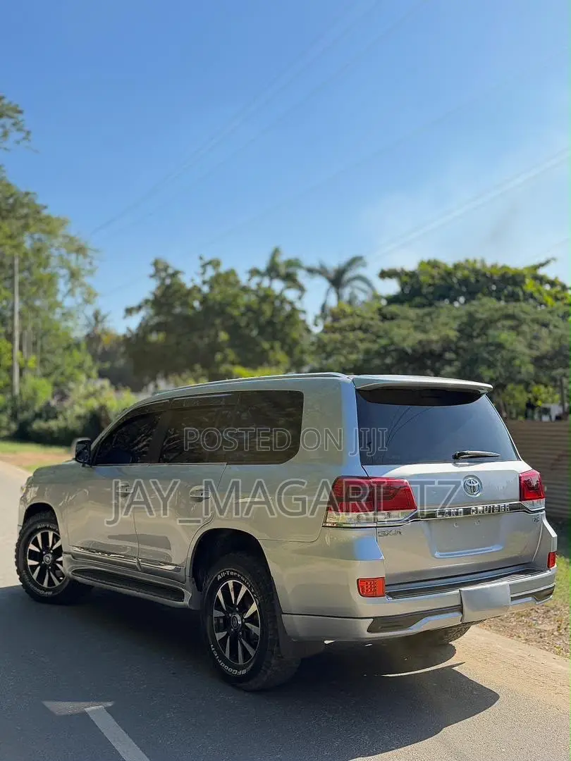Toyota Land Cruiser 2010 Silver