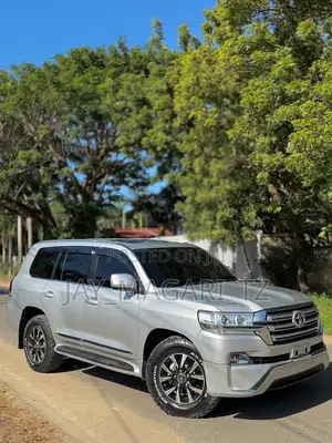 Toyota Land Cruiser 2010 Silver