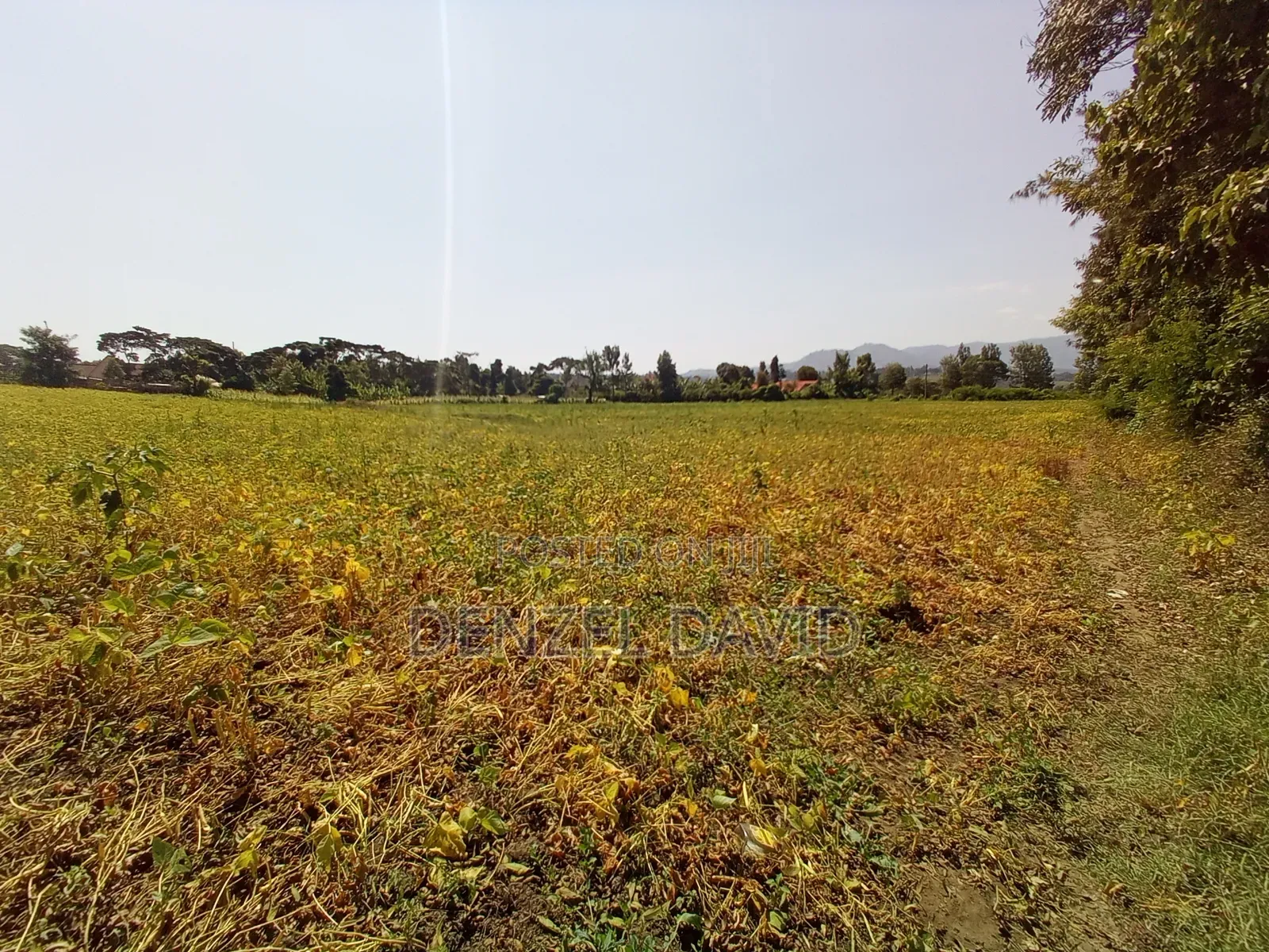 Four Acre Plot for Sale
