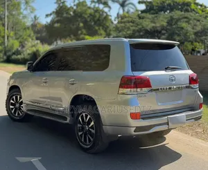 Toyota Land Cruiser 2010 Gray