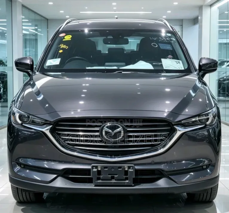 Mazda CX-8 2017 Gray