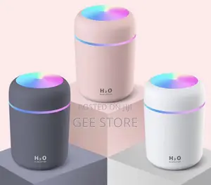 Portable Mini Usb Cool Mist Air Humidifier and Aroma Diffuser