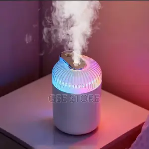 Dual Nozzle Portable Usb Air Humidifier and Aroma Diffuser