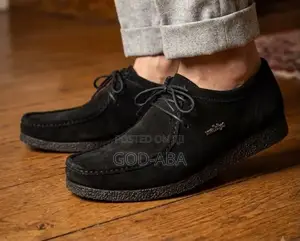 Loafers Shoes and Casual Style Shoes