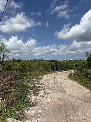 Prime Land for Sale in Zanzibar