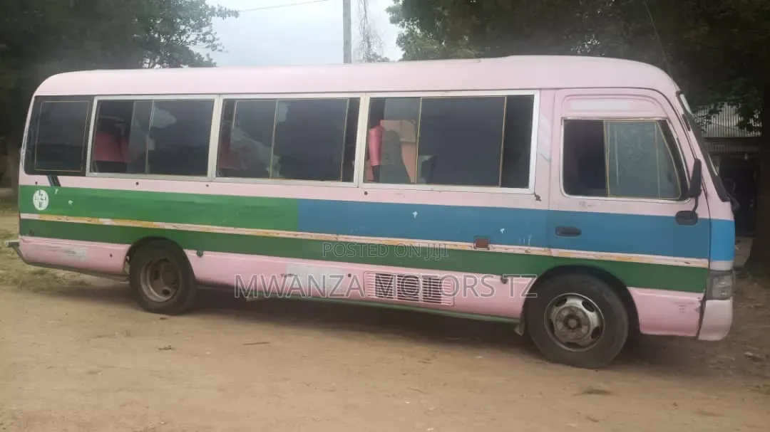 Toyota Coaster 2002 Pink