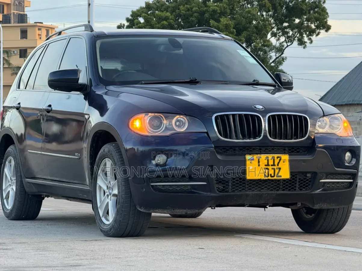 BMW X5 2007 Blue