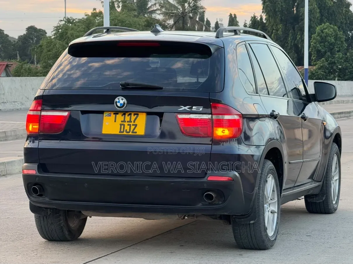 BMW X5 2007 Blue