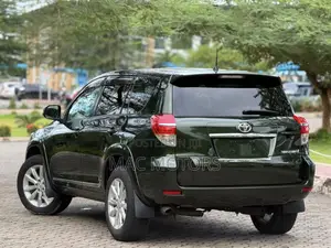 Toyota Vanguard 2010 Green