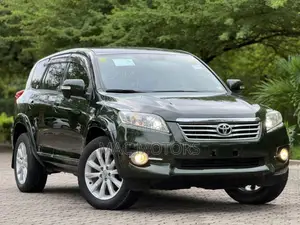 Toyota Vanguard 2010 Green