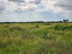 Shamba La Heka Kumi Na Tano (15) Linauzwa Bagamoyo - Makurunge