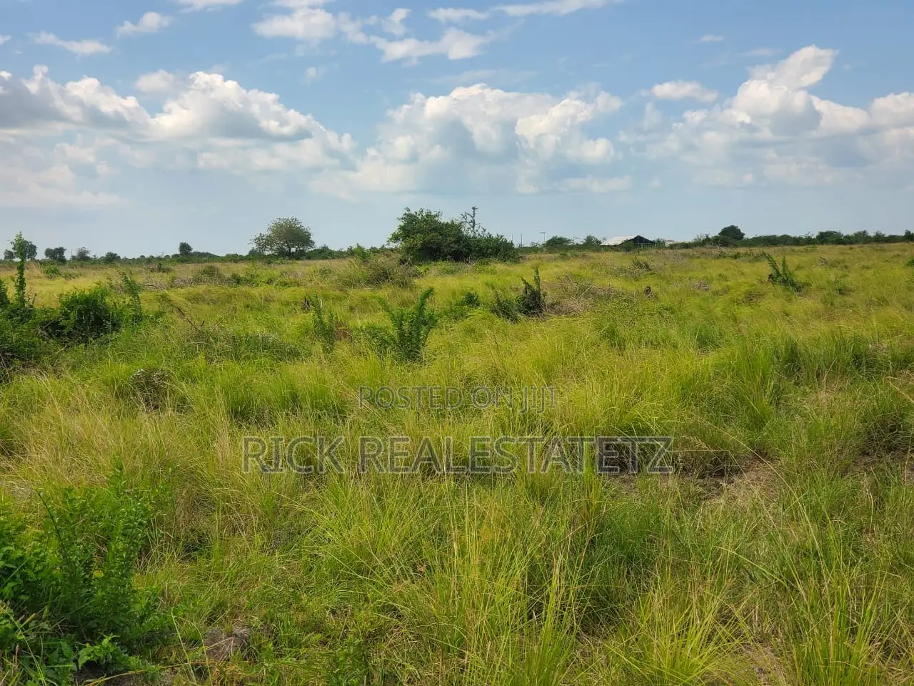 Shamba La Heka Kumi Na Tano (15) Linauzwa Bagamoyo - Makurunge