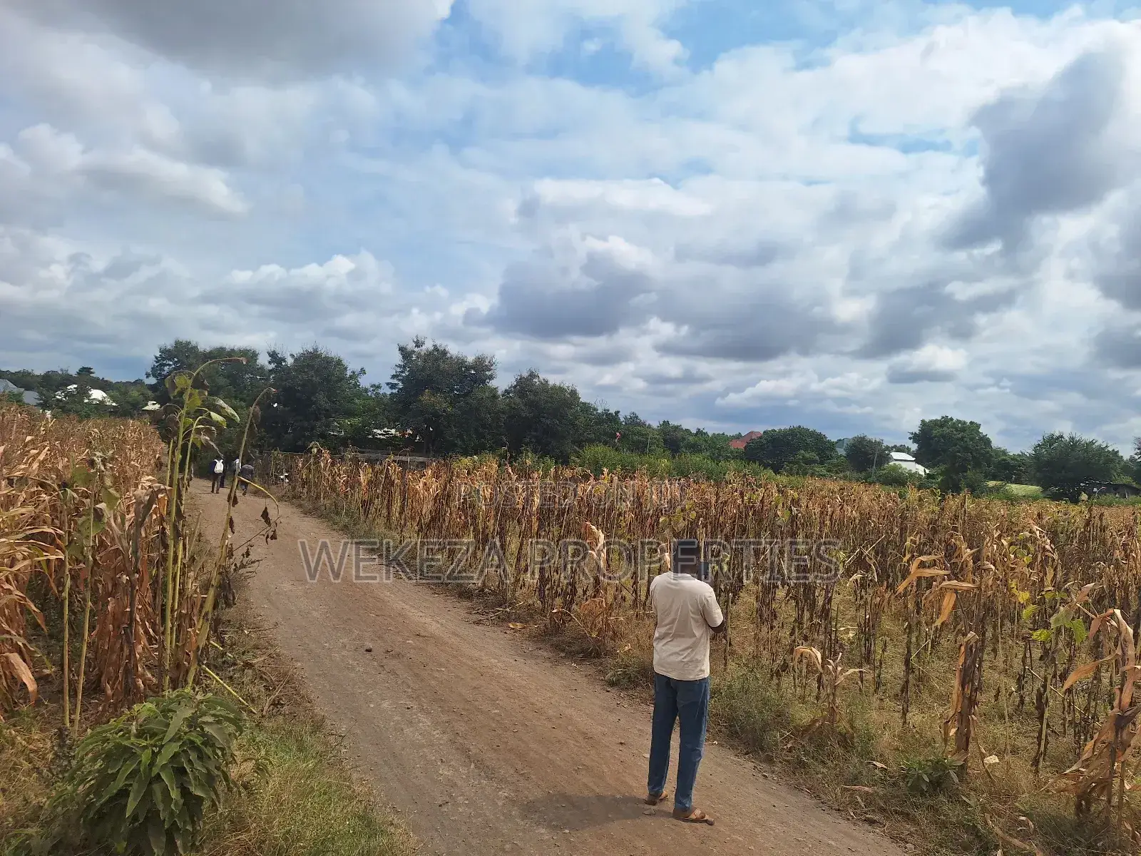 Plot for Sale