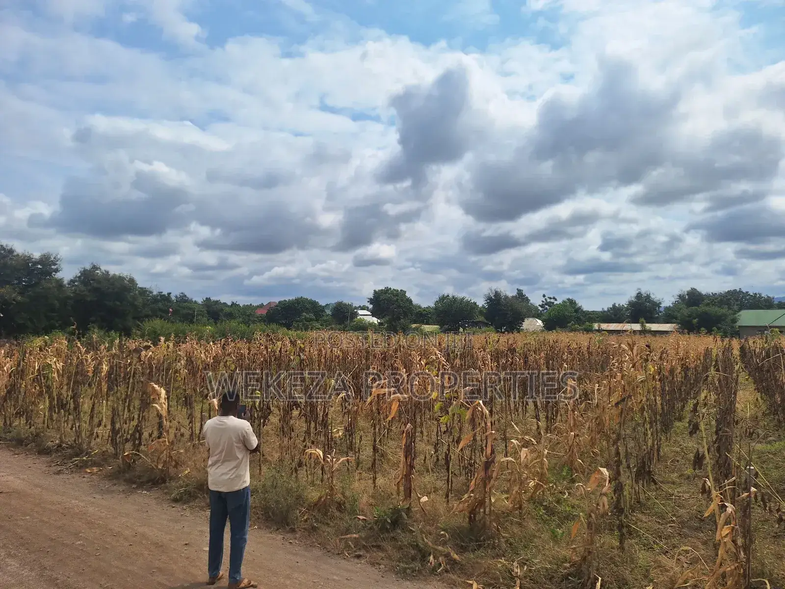 Plot for Sale