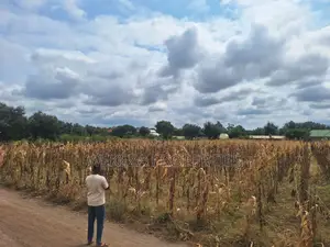 Plot for Sale